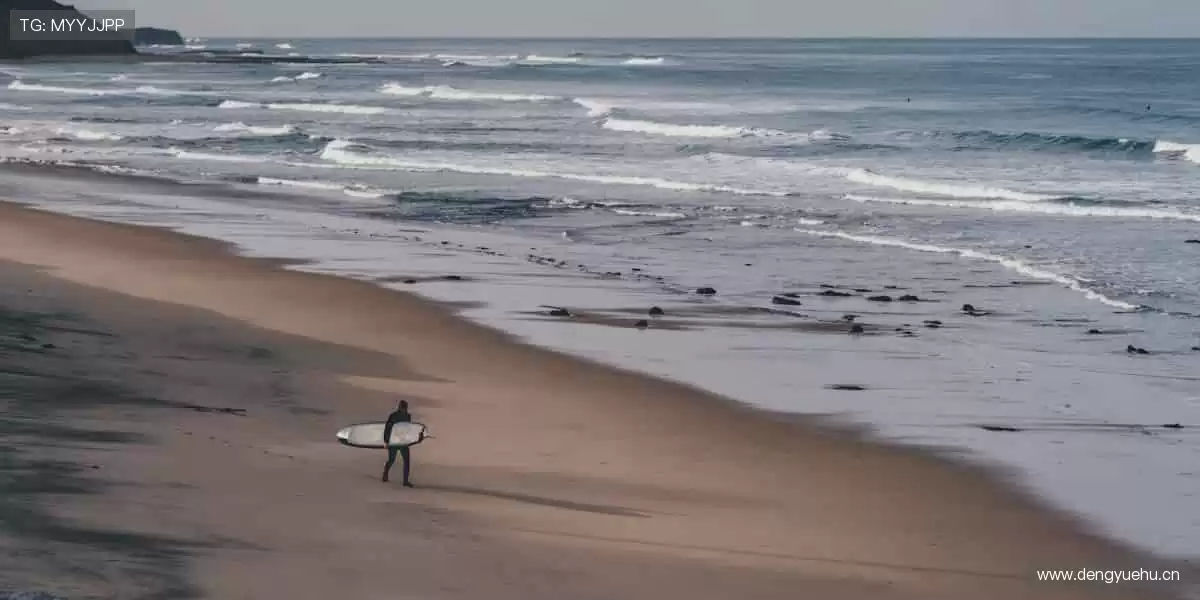 🏀✨ 巅峰对决,热血沸腾!